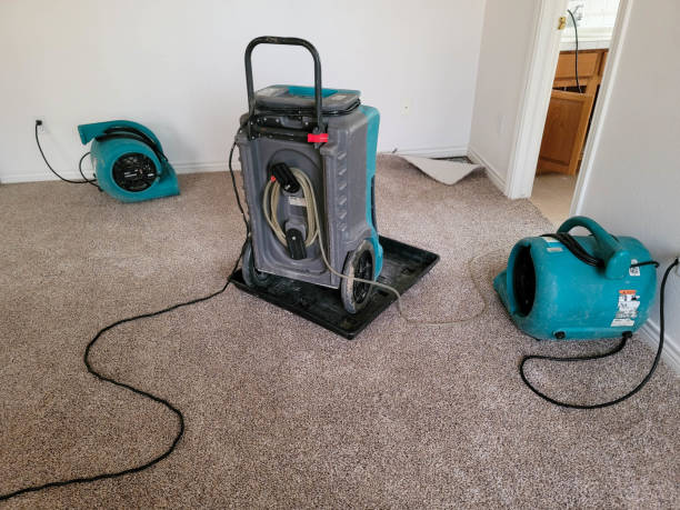 Best Flooded house restoration  in Cotulla, TX