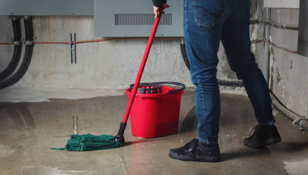 Best Basement water damage restoration  in Cotulla, TX